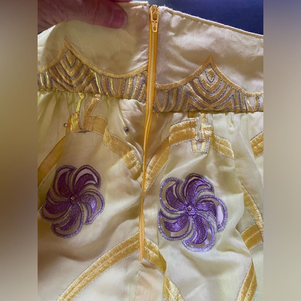 Beautiful & Unique Fully Lined Embroidered Skirt - image 3